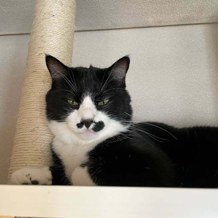 A4700628 f696 4475 9437 149c92150f53 1659316521986