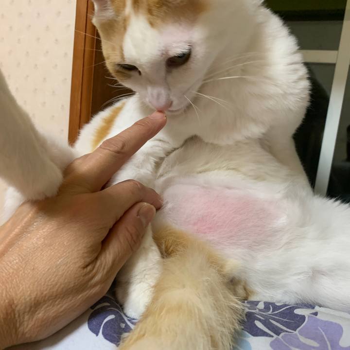 A47024c8 549d 4163 84ed b03b7e3c22d8 1643290102713