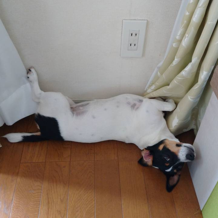 A4706326 5268 4460 9555 3461008f726a 1563527832320