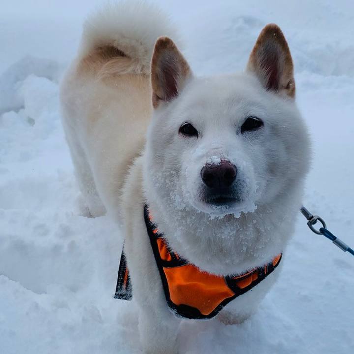 A4706bdd a70c 43de 9112 051fa614dedd 1672698868027