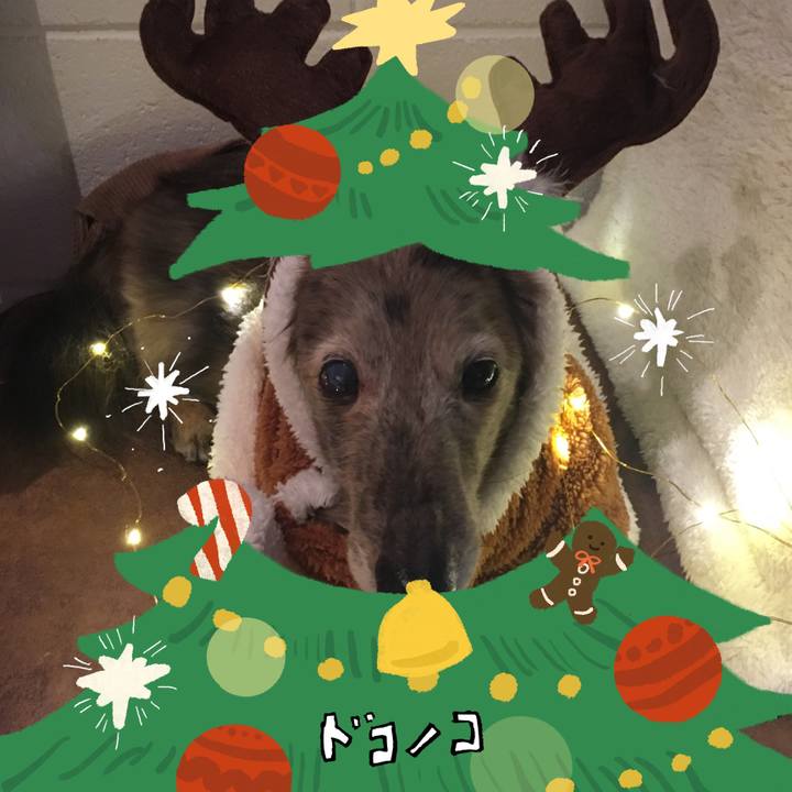 A4709c7f a070 43e8 8fa5 04db76f81451 1761347968915