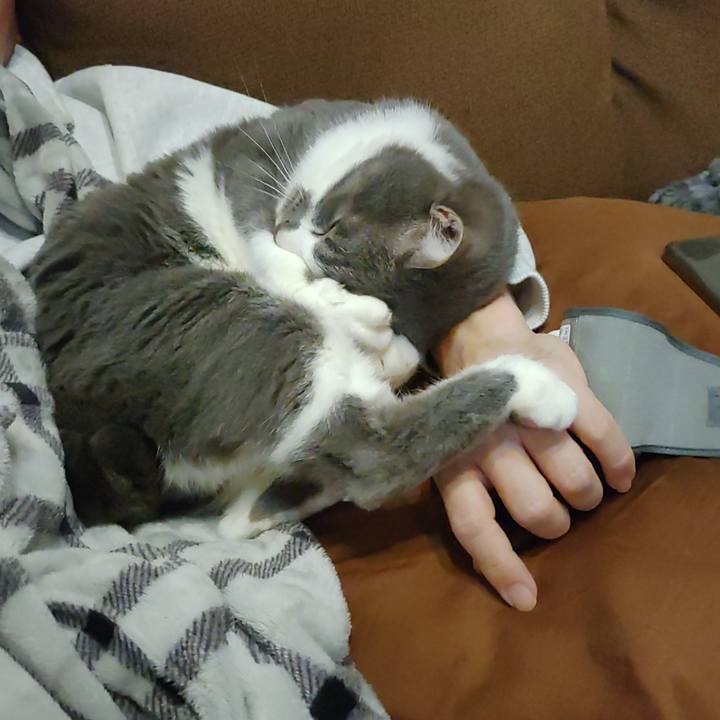 A47121c2 948e 4693 9cb7 6dc86bb20e11 1709043777042