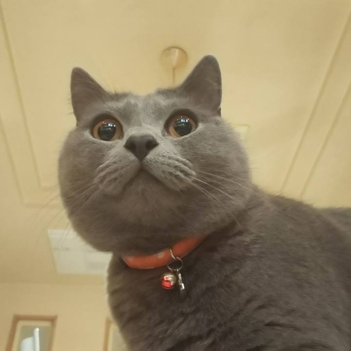 A4712ee3 c681 49d9 a310 bb9817add23f 1541495216962