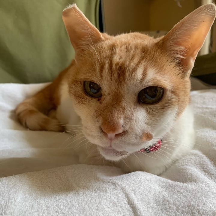 A4713464 3605 4c16 92e1 2ad3d61770d5 1655076707236