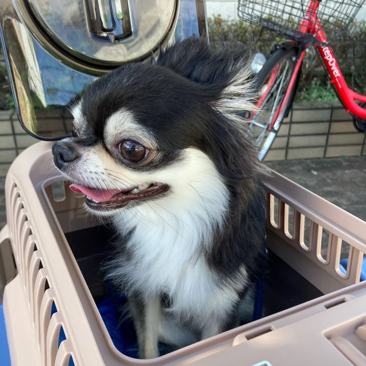 A4713ec1 246c 4cc0 a4ca 515300da9f09 1658881397097