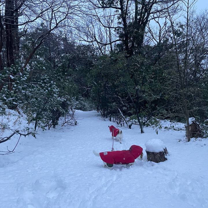 A4714e65 17e1 4839 8f08 6cc331efe2fd 1769208609216