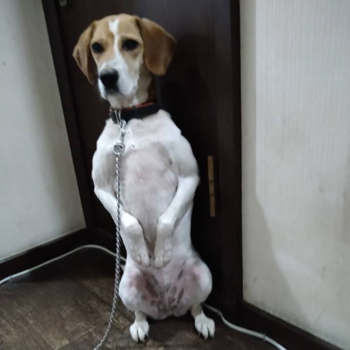 A4715a14 62d7 43e5 966a 8d0cb48559bb 1625143875300