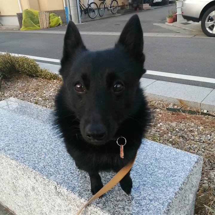 A471ffc7 3878 417a 9559 23be5b3a9bd2 1614203592423