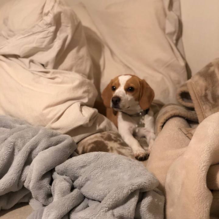 A4720697 3602 41a8 ab4b 20db6039ce5d 1578923840669