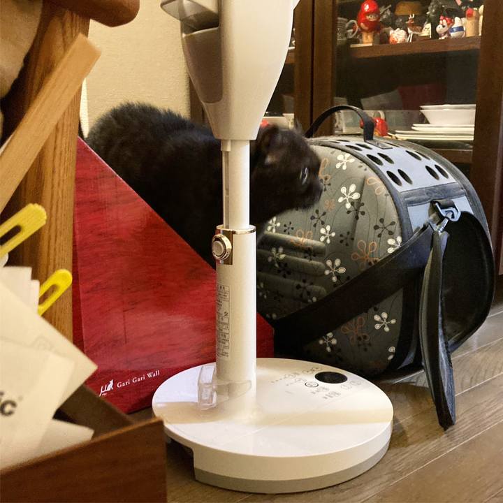 A472394d 32f4 489c 98ca 7b4fe68d6836 1609942812092