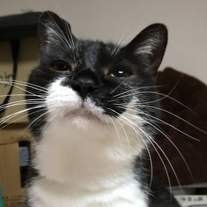 A472a538 55dc 4293 9ca5 4e03dc3b132f 1591109278504