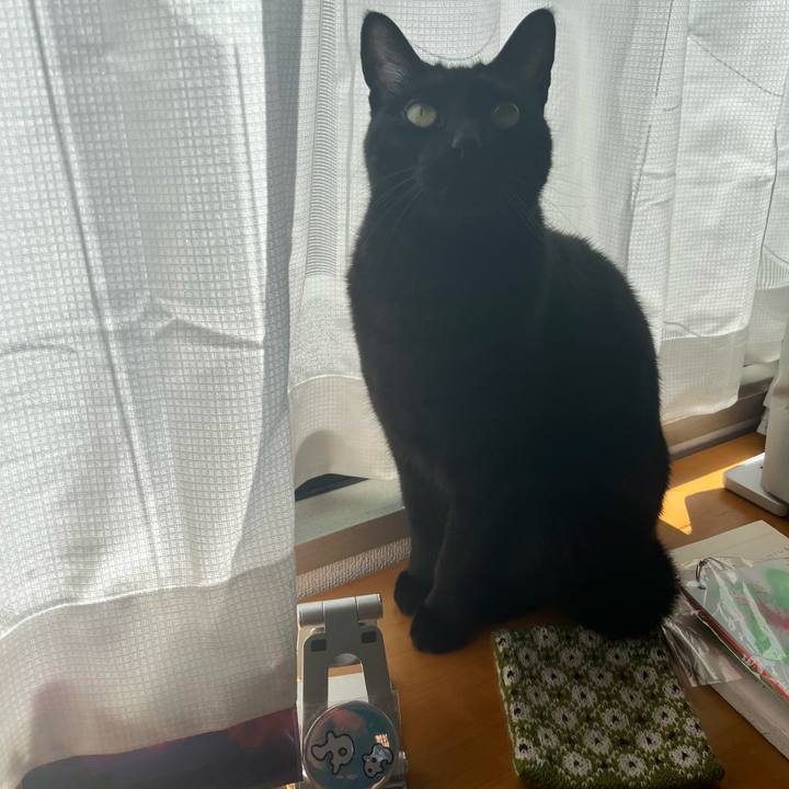 A472a716 7fb5 45a9 a885 52eacf616f81 1682986749457