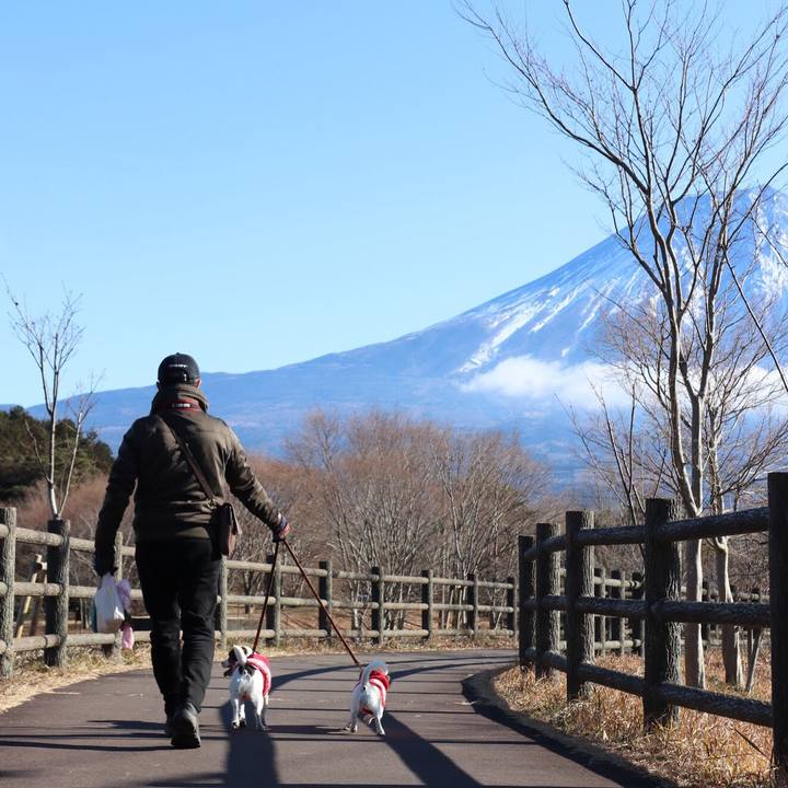 A472be31 b0c7 48b8 87a1 dd13926007f5 1514534581774