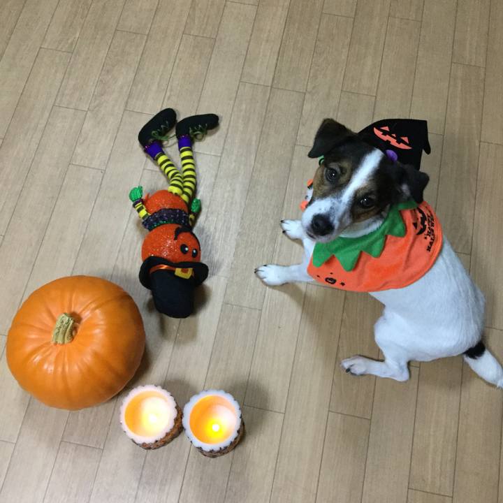 A4730121 a47d 4d16 9464 63bfee77d51e 1509241040066