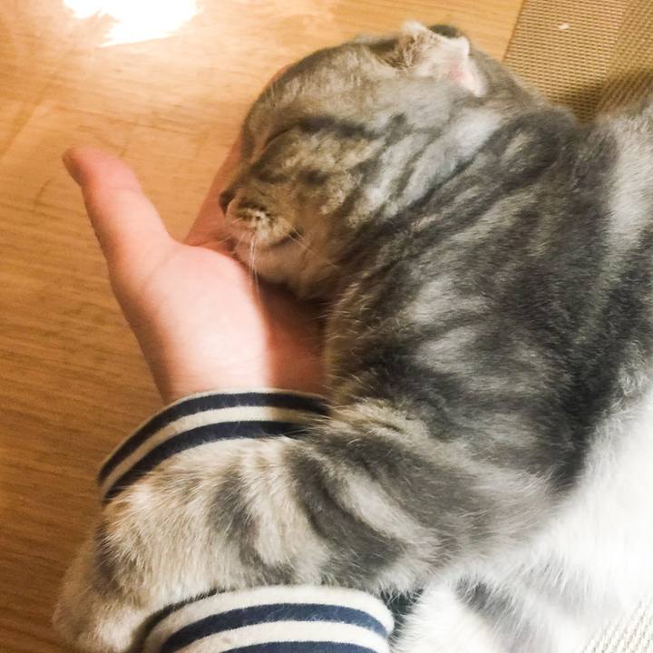 A47315ad 6e71 44ff 8b98 2d8191b49594 1589209127245