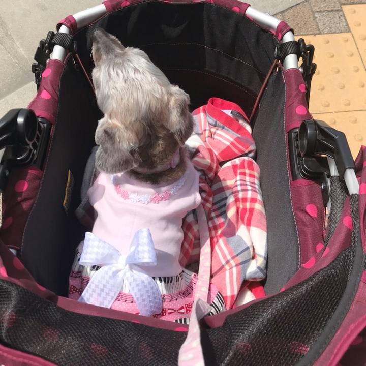 A4733129 dbd2 4eba 8ef4 e490de5daa2b 1526435537966