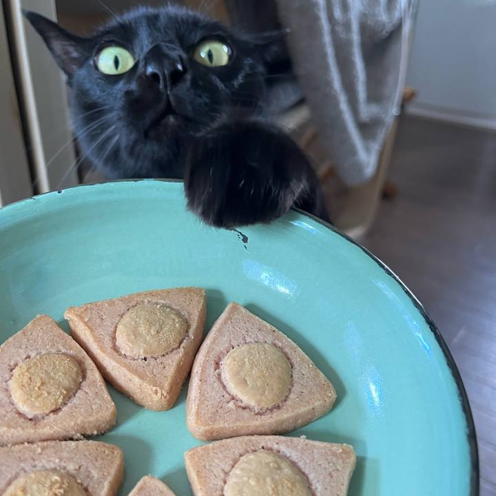 A4734d84 ab92 48e6 b8b8 183f8ea18ee5 1685856477557