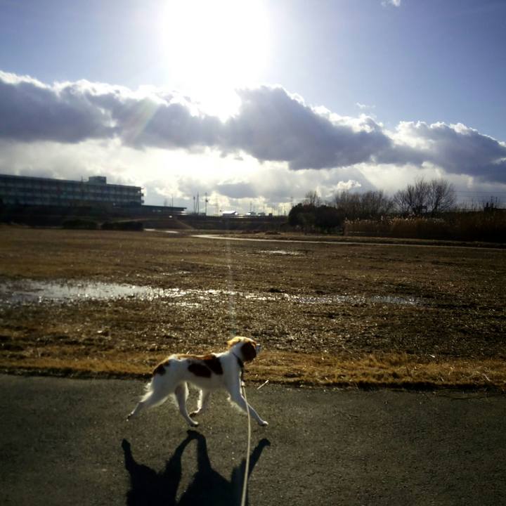 A4735065 7b96 4822 aa87 35431493a9ea 1516782709037