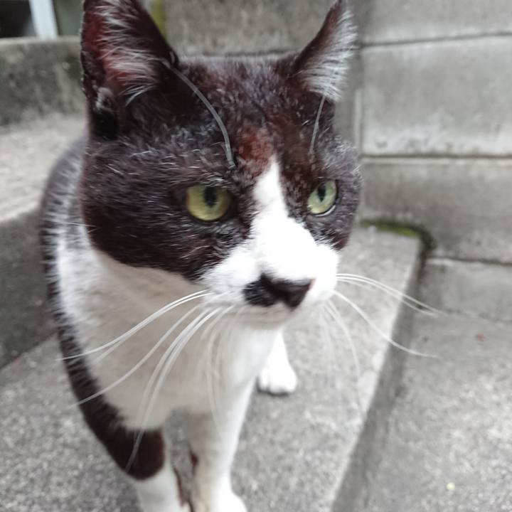 A473623f 633a 4fbc bc73 7904446938e1 1651047572901