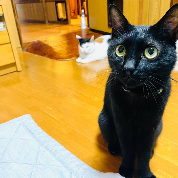 A47363c4 cd54 4ebb ba5c 3b684fc750a0 1694125530366