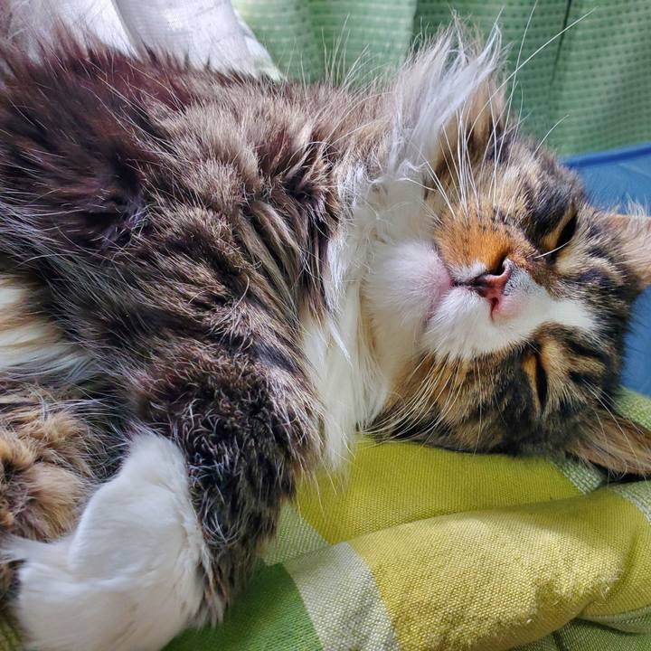 A4738f95 a174 4996 a2c8 8781558ff60d 1679120180831