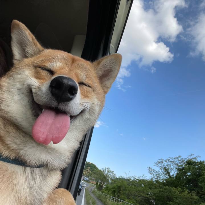 A474024c b21b 4f19 8b3b d32ffa642089 1666391892331