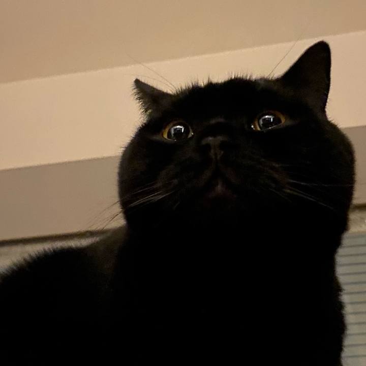 A4740af1 76fb 4452 873e d587aa1db914 1707910479314