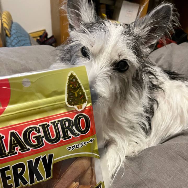 A4740f09 d528 4c2f 805f 8a52077434c8 1670759833826