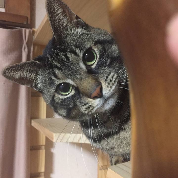 A4744685 aa84 49ff 8491 ab71e04a8bea 1521868012769