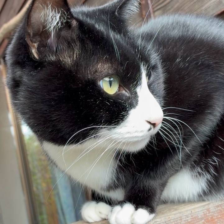 A4746d91 88e7 4824 a2a1 e5b8467c304f 1763604811731