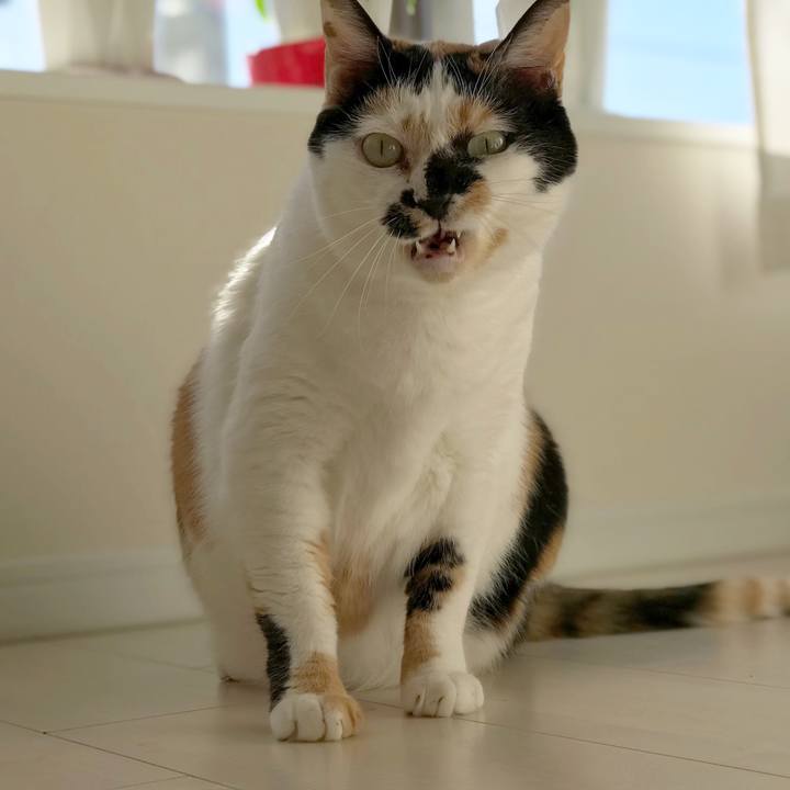 A4747a8c 3b52 4307 b996 6dfe230ca492 1513653135746