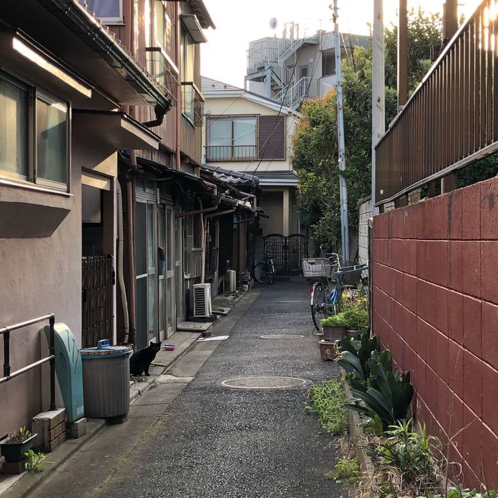 A4749250 7942 4d49 89f4 9610d2ed36ad 1554473579759