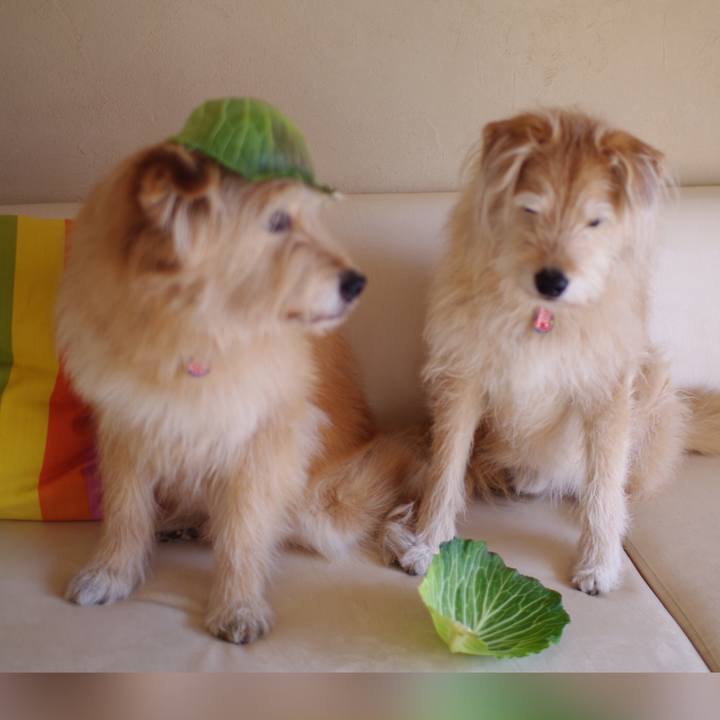 A474acdb c172 479d a0cc b5af62f31a22 1616722211661