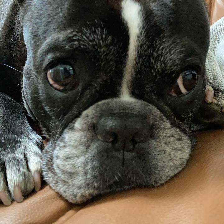 A474d46e 0218 4a9e b06b 57182abbc496 1613366412488