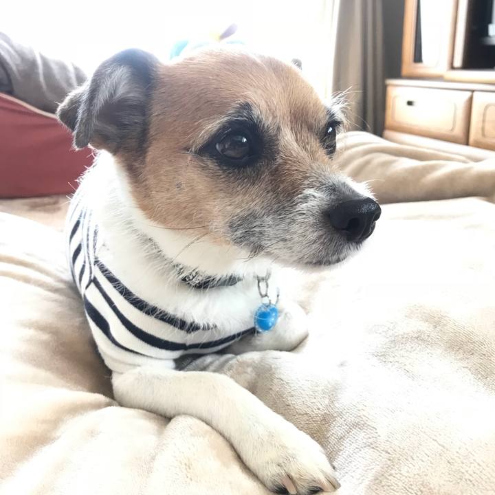 A474d570 9007 4fe3 b300 569db918af5f 1521680816682