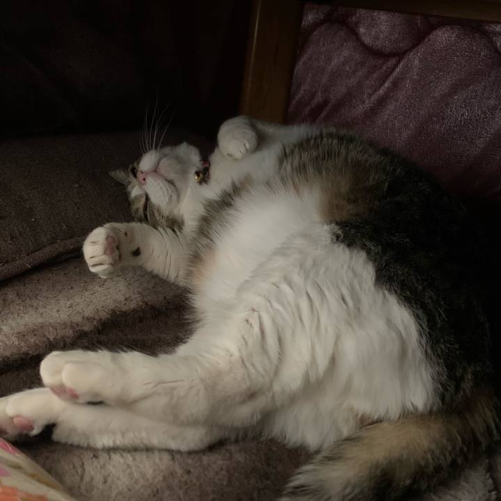 A4750218 3b0d 4a98 8b35 67f6f478d6c1 1712102364256