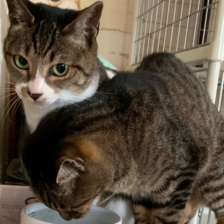 A4757205 d8f1 45db b6f9 07726581cca5 1557279862299