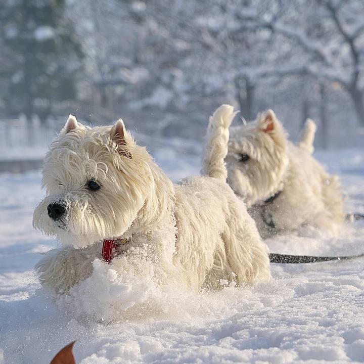 A47584c5 2916 491b bcb7 82e3c697e245 1516745967012