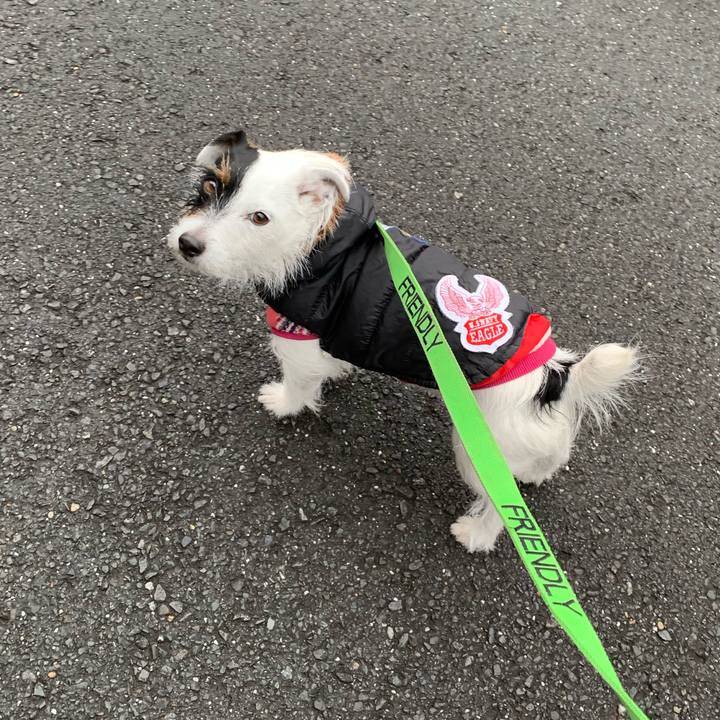 A4758f51 5e45 43d5 be58 116bdb200b42 1548917271697