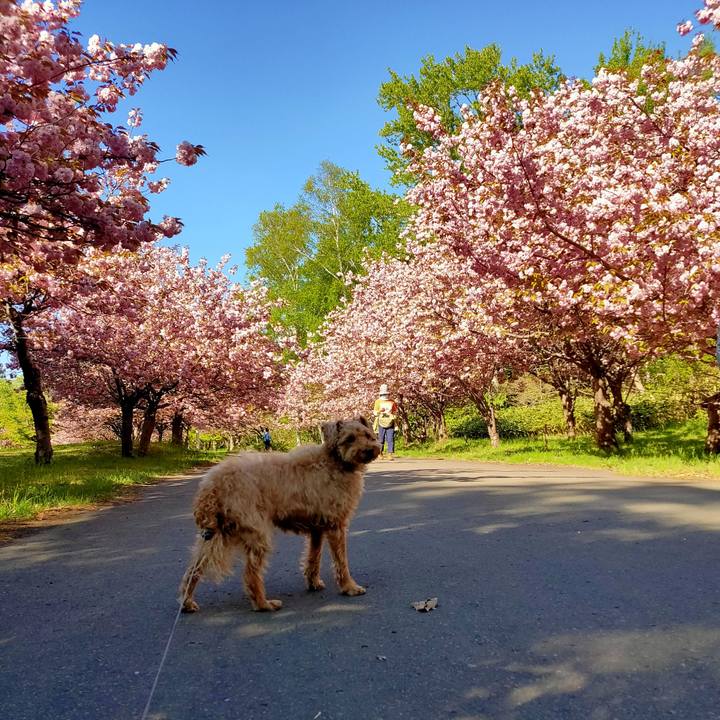 A47590ed d326 49b9 ae3c d620e95bf146 1590049915877