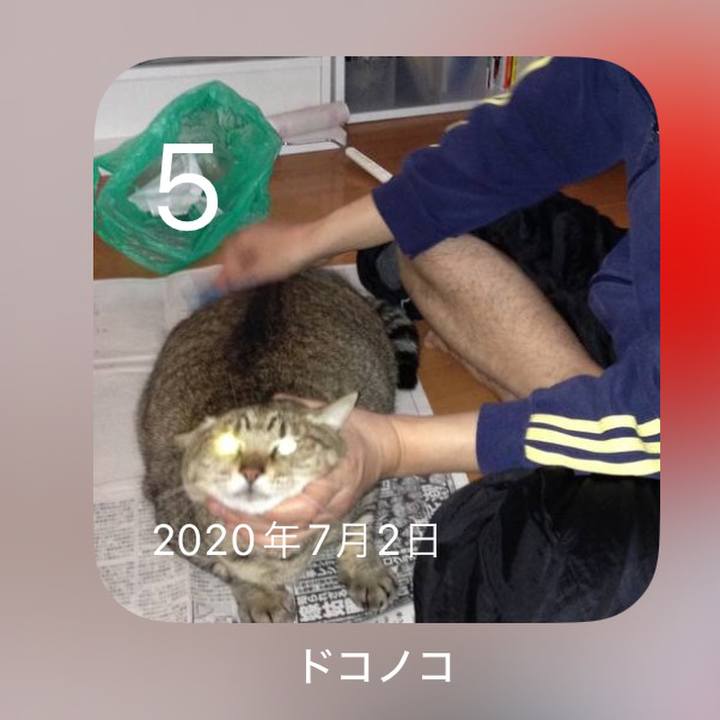 A475a331 ad74 4381 b038 13b72e00aabd 1720152120915