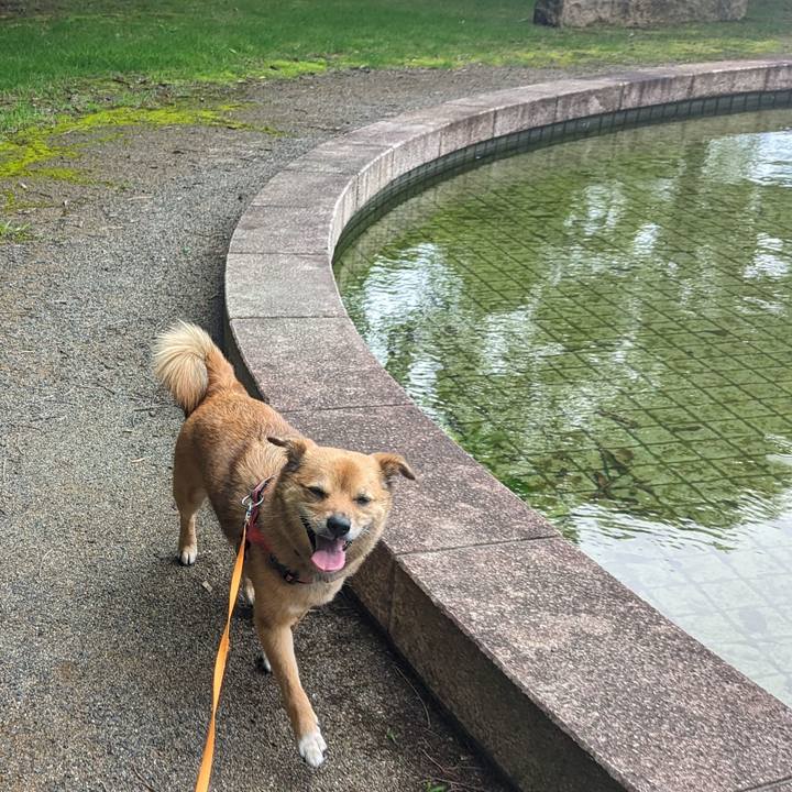 A475ab6b 924b 4821 b3e2 0118d72bb620 1688051373306