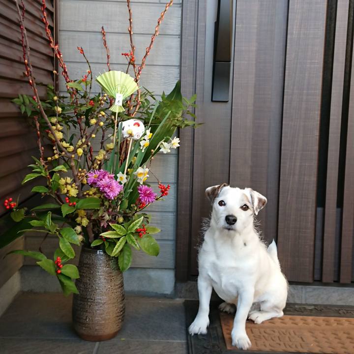 A475c95a 6a78 40c7 afe9 e2ae9a03246e 1546268116169