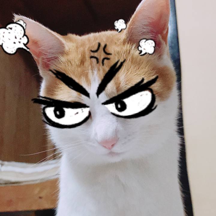 A475cb04 b7ea 499a abf9 207be6fcb0e1 1529106918479