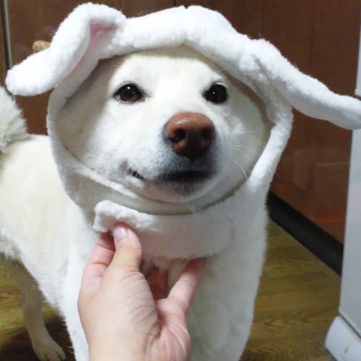 A475e3e6 1170 4363 aeee 9ec3fa473b11 1635404193563