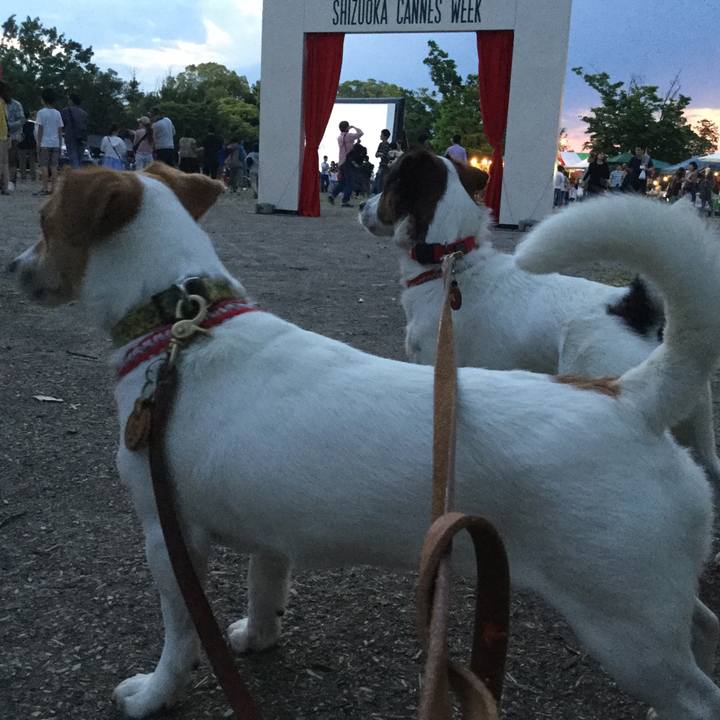 A476546d c7bf 463c 92c1 f1699bdf5da4 1557568226239