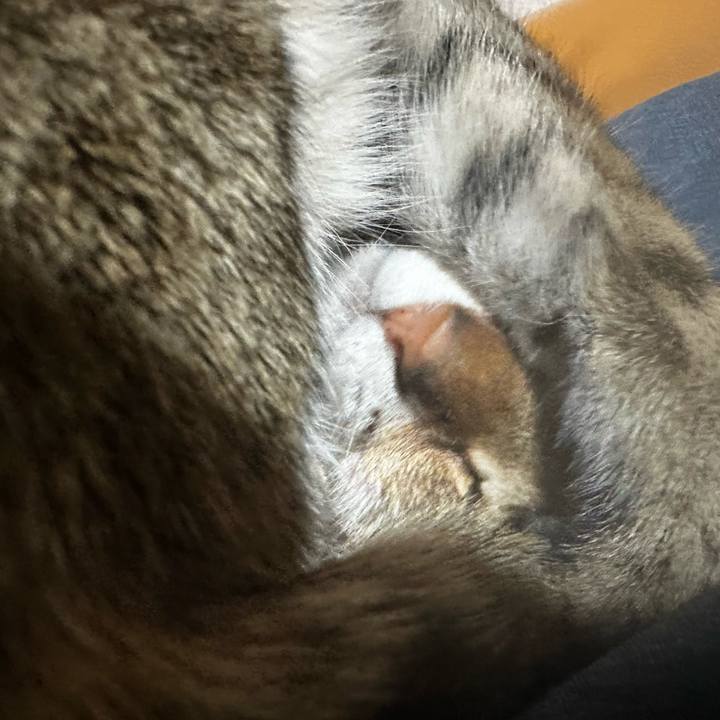 A4765783 a85f 470f b205 3f90266a4f03 1769510128816