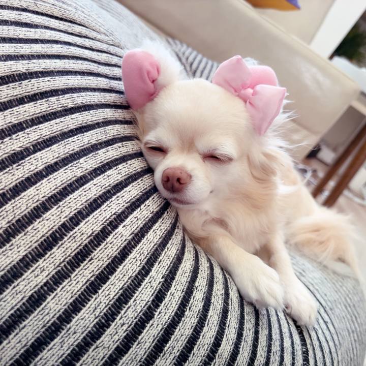 A4768b2d a171 425f b923 22e1408e48bb 1753150621986