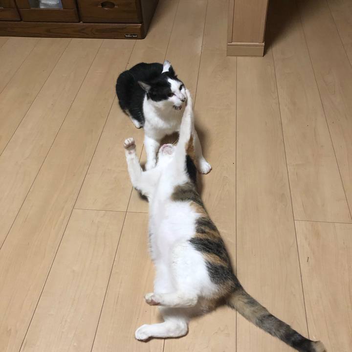 A476abb6 9358 482d ae99 2206261b7ba9 1595094345986