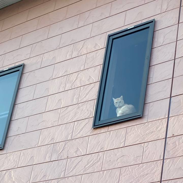 A476c923 c67c 4834 8f46 3512332544b6 1728549163513